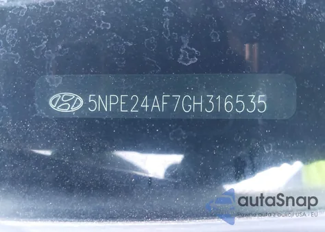 5NPE24AF7GH316535